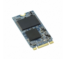 APM2T42P100032GAN-2TM