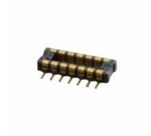 WP21-P010VA1-R8000